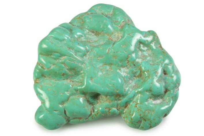 Polished Chilean Turquoise ( grams) Nugget #358843